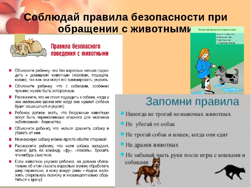 Изображения.