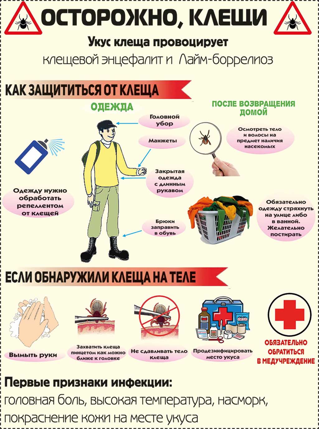 Изображения.